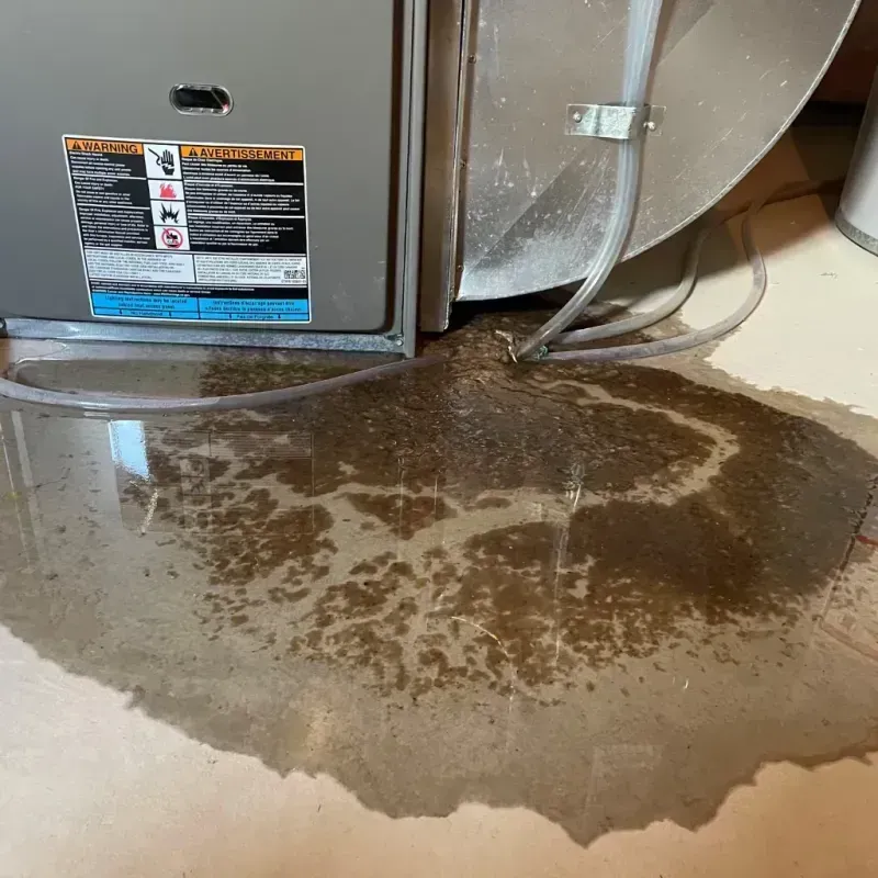 Appliance Leak Cleanup in Postville, IA